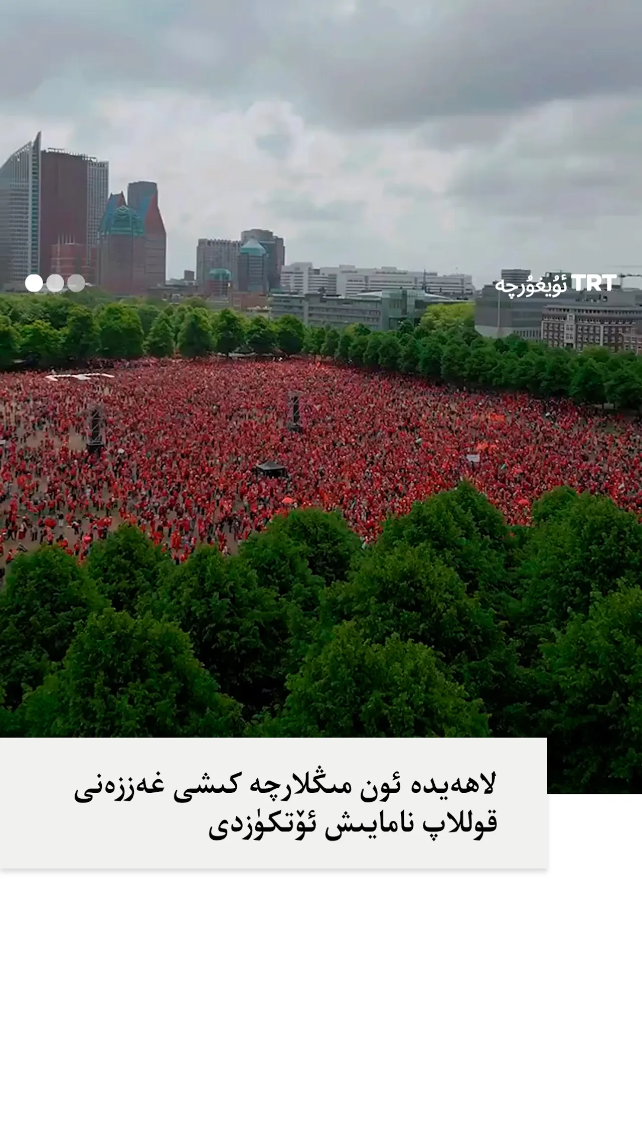 لاھەيدە ئون مىڭلارچە كىشى غەززەنى قوللاپ نامايىش ئۆتكۈزدى
